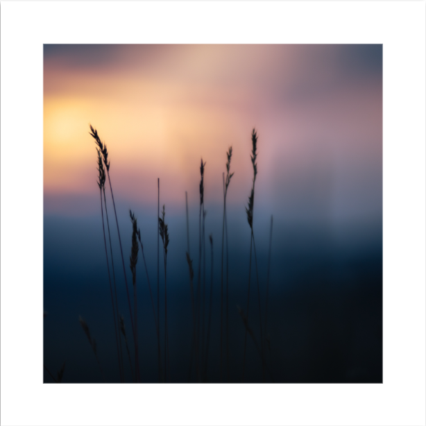 Fine Art Print | Coppertone & Sand | 50x50cm | Giclée Print