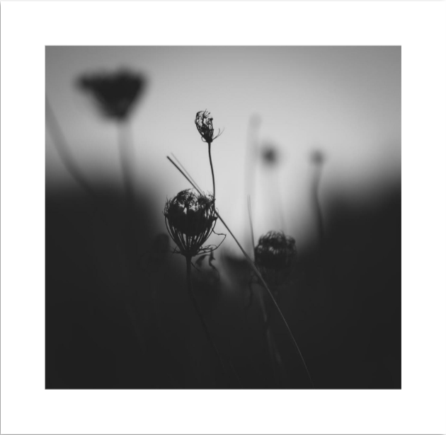 Fine Art Print | Charcoal & Matcha | 50x50cm | Giclée Print