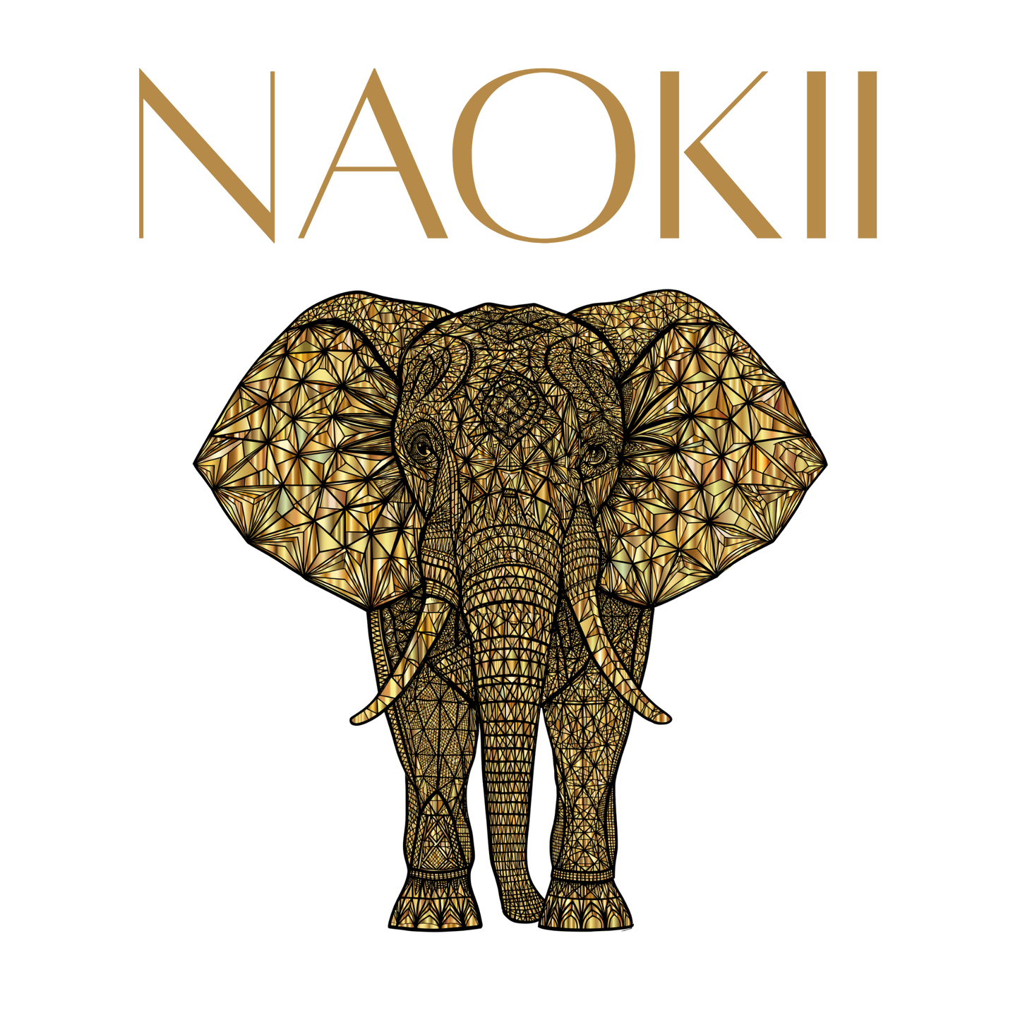 Naokii Gift Card | Choose From £10 - £100 | Redeemable On All Products
