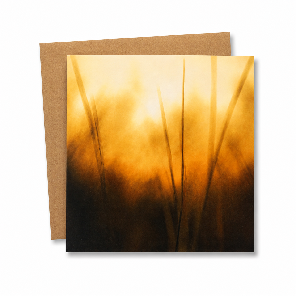 Greetings Card | Cinnamon & Saffron | 15x15cm | Blank Inside