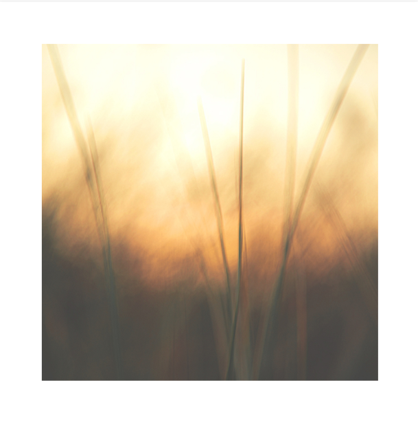 Fine Art Print | Cinnamon & Saffron | 50x50cm | Giclée Print