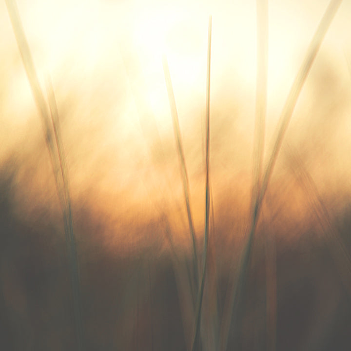 Fine Art Print | Cinnamon & Saffron | 50x50cm | Giclée Print