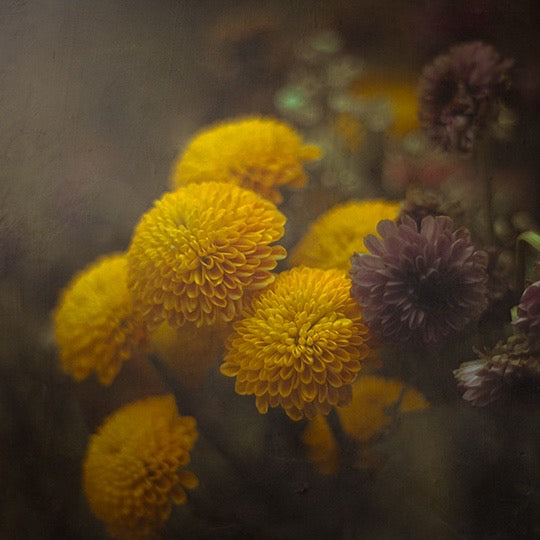 Fine Art Print | Honey & Tobacco | 50x50cm | Giclée Print
