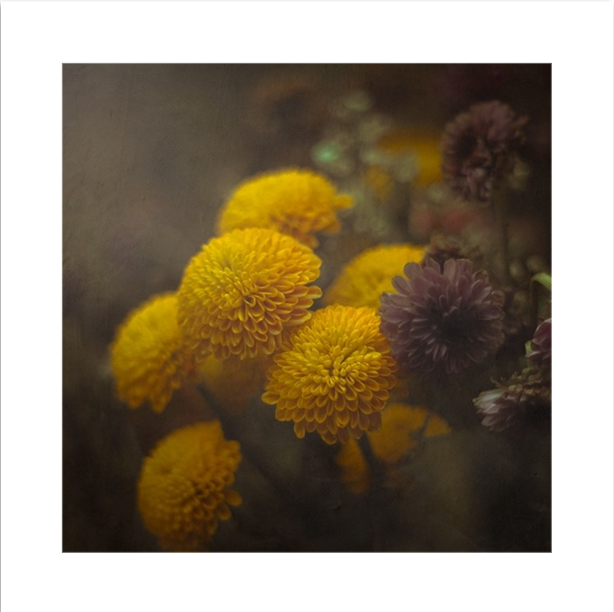 Fine Art Print | Honey & Tobacco | 50x50cm | Giclée Print