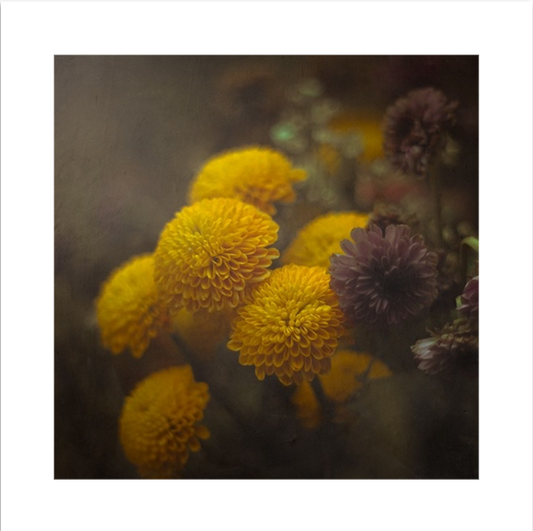 Fine Art Print | Honey & Tobacco | 50x50cm | Giclée Print
