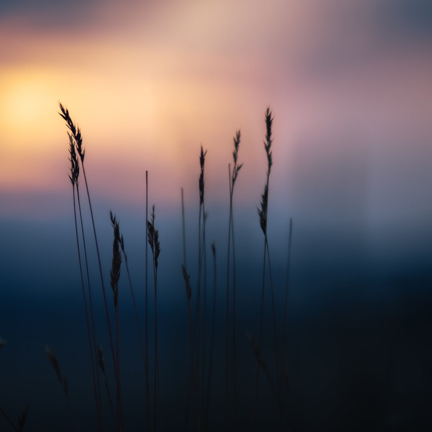 Fine Art Print | Coppertone & Sand | 50x50cm | Giclée Print