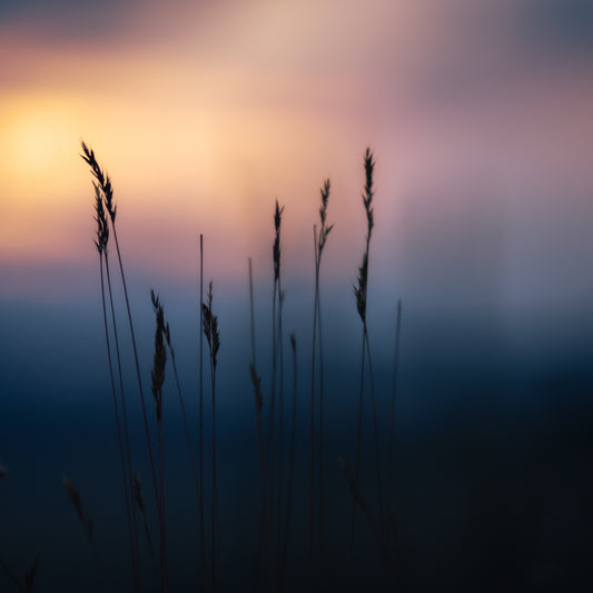 Fine Art Print | Coppertone & Sand | 50x50cm | Giclée Print