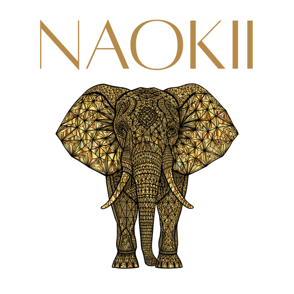NAOKII