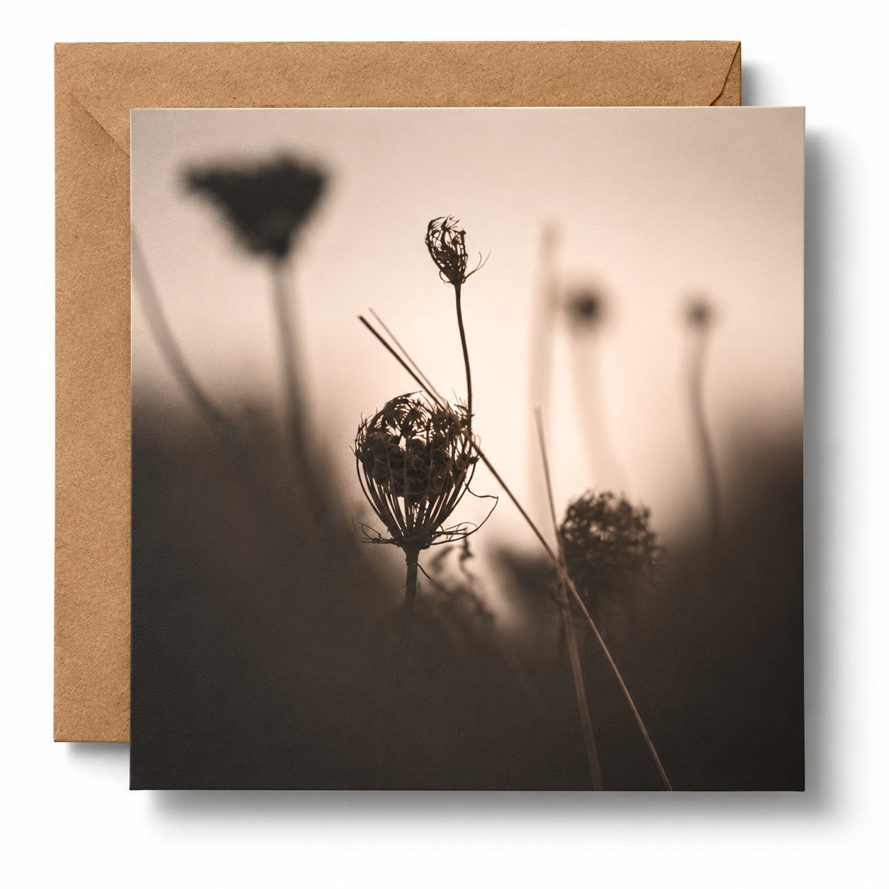 Greetings Card Set | 5 Designs | 15x15cm | Blank Inside