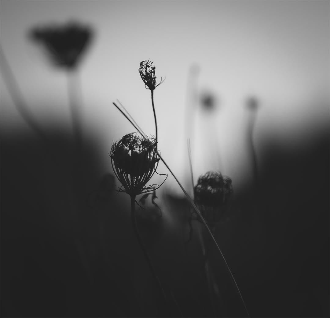 Fine Art Print | Charcoal & Matcha | 50x50cm | Giclée Print